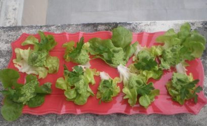 Fèves en purée à l’ail et à la coriandre servie dans des cœurs de salade