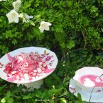 Salade radis et oignons roses