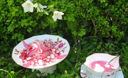 Salade radis et oignons roses