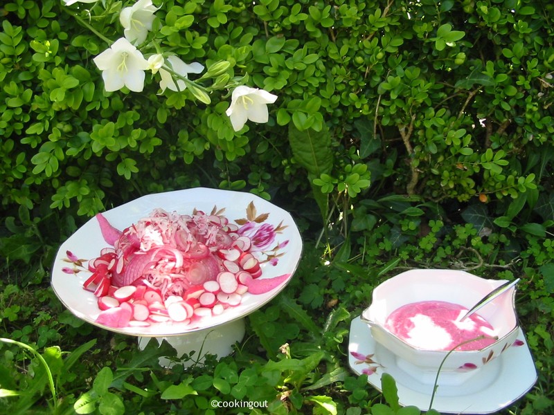 Salade radis et oignons roses