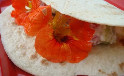 En cas du dimanche soir fleuri : des tortillas à la capucine