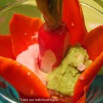 Fleuradis, tu glaces ! ou les tulipes farcies aux 3 radis