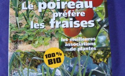 cookbook de jardinage le poireaux et les fraises