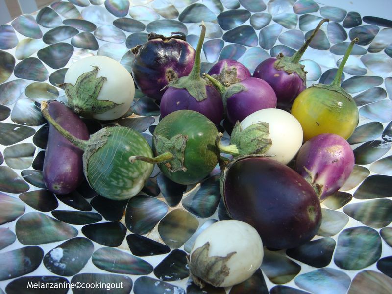 pleins de variétés d'aubergines