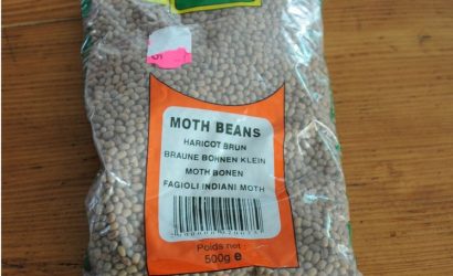 haricot moth beans