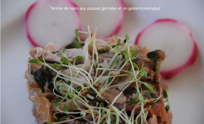 Terrine de lapin & pousses de radis en gelé