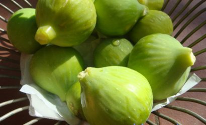 figues de Sicile