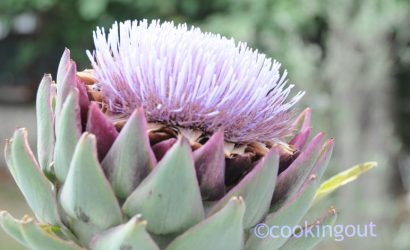 fleur d'artichaut violette pour un beau décor