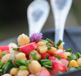 Salade pois chiches germés, radis à la mélasse de grenade et à la ciboulette