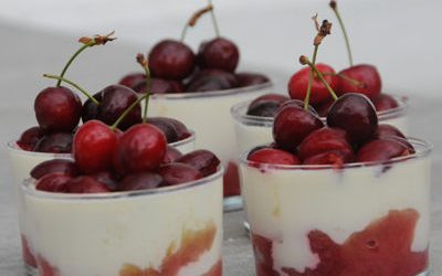 Dessert rhubarbe, cerise et sureau .... une panna cotta