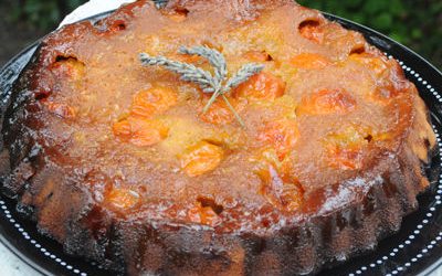 gâteau renversé aux abricots un délice caramélisé à la lavande