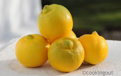 effeuillage de citron Bergamote