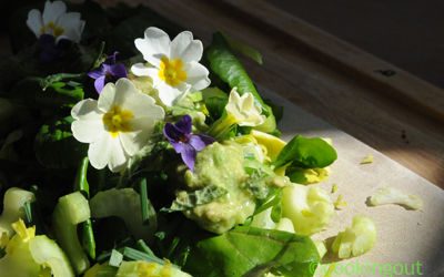 Salade avec les fleurs de printemps, cresson, céleri branche, avocat