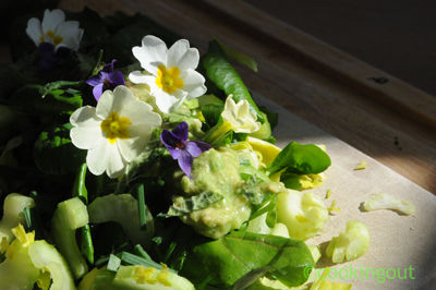 Salade avec les fleurs de printemps, cresson, céleri branche, avocat