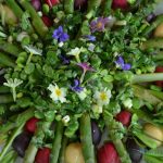 La quintessence de la salade printanière asperges vertes, radis multicolores et févettes fraîches