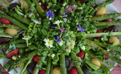 La quintessence de la salade printanière asperges vertes, radis multicolores et févettes fraîches