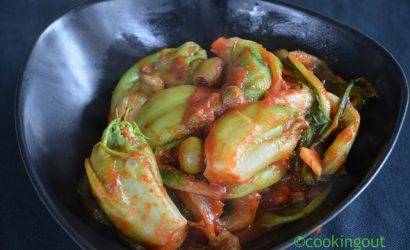 Puntarelle ou chicorée de catalogne en sauce tomate