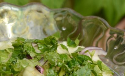 Fenouil et angélique une salade très printanière
