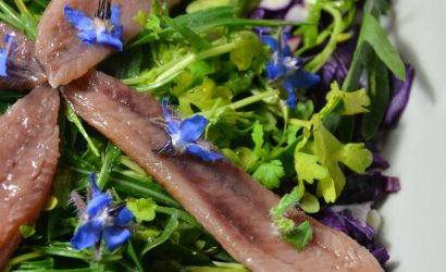 Salade de chou rouge, cresson des jardins et sardines fumées