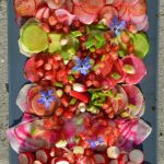 Salade aux multiples variétés de radis associés à la grenade