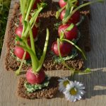 Recette de Radis du potager au beurre de fanes sur pain noir