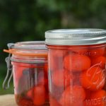 Pickles de radis et pleins d’informations sur le radis