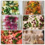 6 recettes de Ceviche à adopter pour un menu de fêtes pour moins de 10 personnes