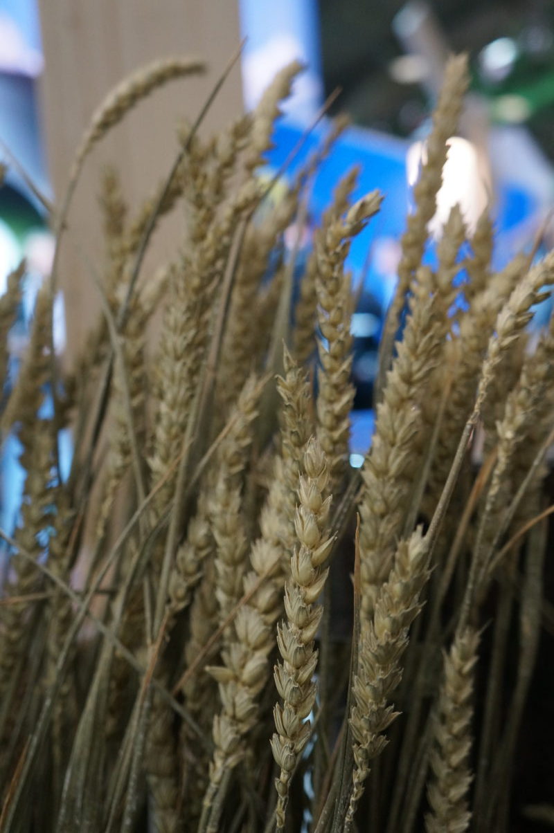 Salon de l'agriculture 2018