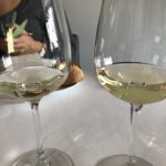 vins blancs du domaine Chantegrive