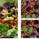 Recette de couscous avec du chou fleur-graffiti violet