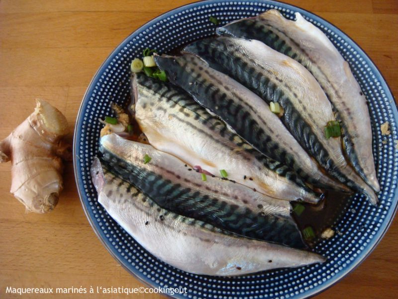 filets de maquereaux marinés à l'asiatique