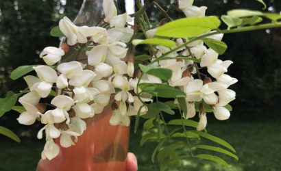 bouteille de sirop de fleurs d'acacia