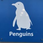 Australie panneaux pingoins