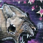 Melbourne street art fauve