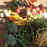 retour du marché avec des légumes d'été en automne