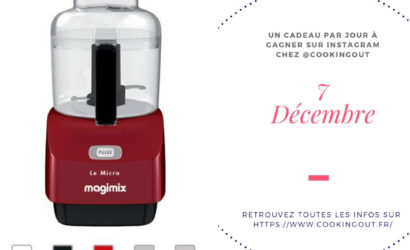 Robot le Micro Magimix Rouge