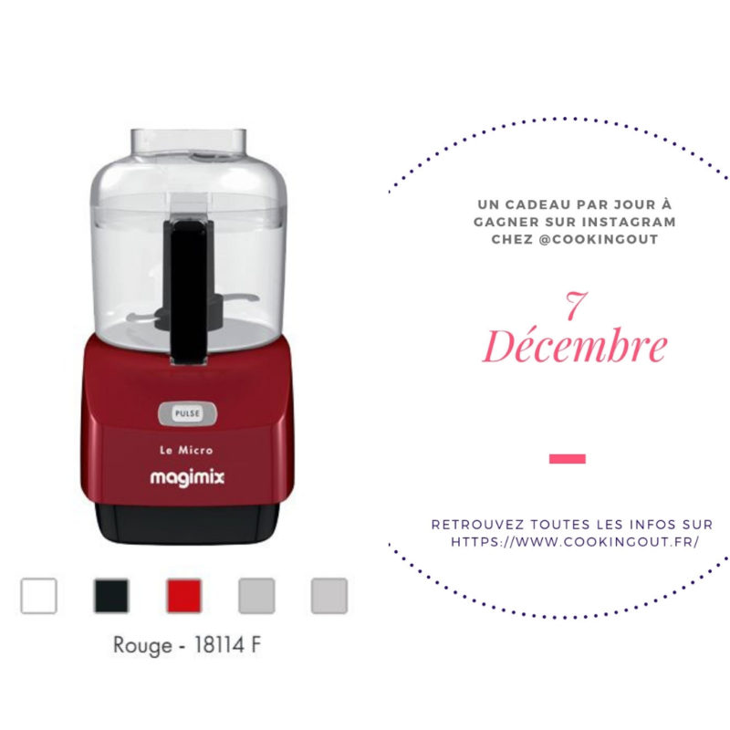 Robot le Micro Magimix Rouge