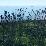 balade au bord de la mer pour se ressourcer