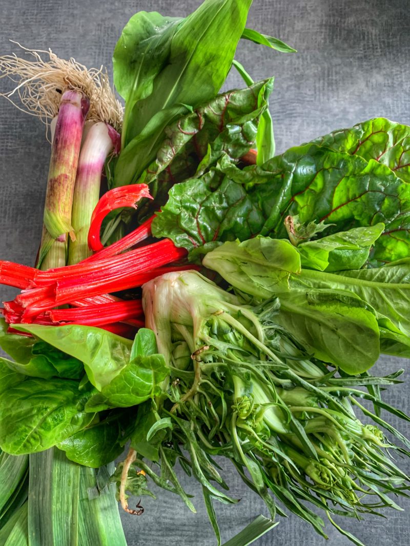 retour du marché de Biarritz puntarelle, ail des ours et aillet et blettes rouges