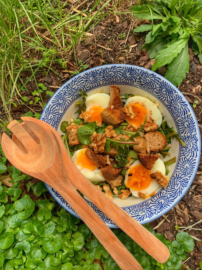 salade de pissenlits œuf mollet avec croûtons à l'ail et noix