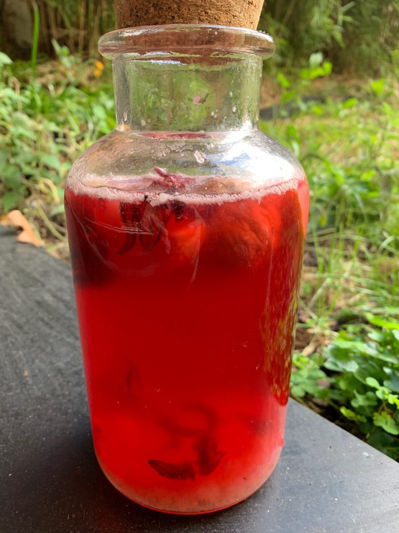 kefir de fruit parfumé à la fleur d'hibiscus