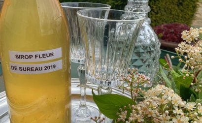 Dégustation de sirop de fleurs de sureau au château