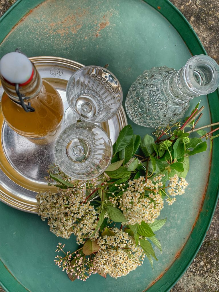 sirop de fleurs de sureau fait maison