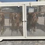 poulpes qui sèchent au soleil restaurant Medusa Milos