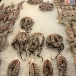 prix et variétés de poulpes grecs vendu aux halles d'Athènes