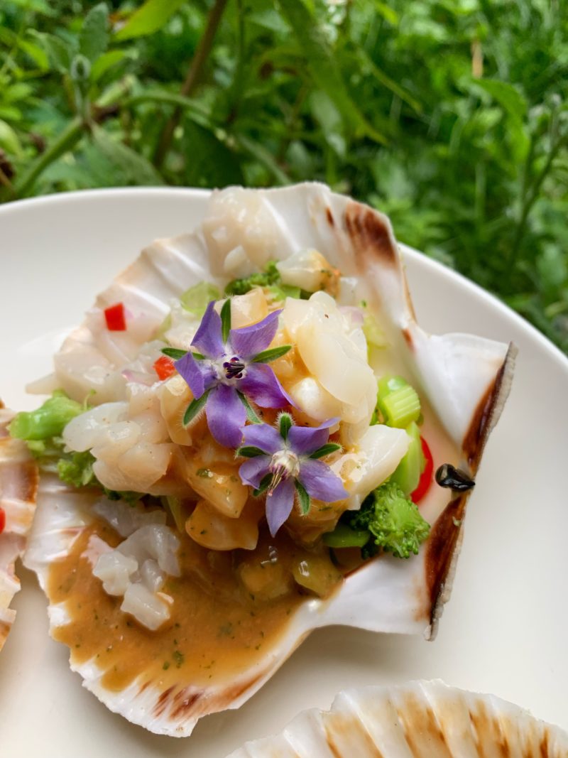 tartare de St Jacques sur salade de légume et parfumé à la bourrache sauce au corail