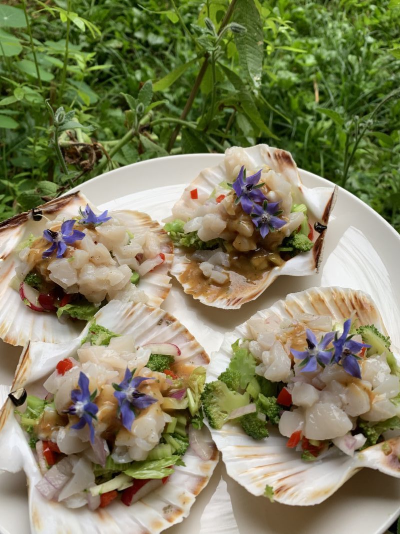 tartare de St Jacques sur salade de légume et parfumé à la bourrache