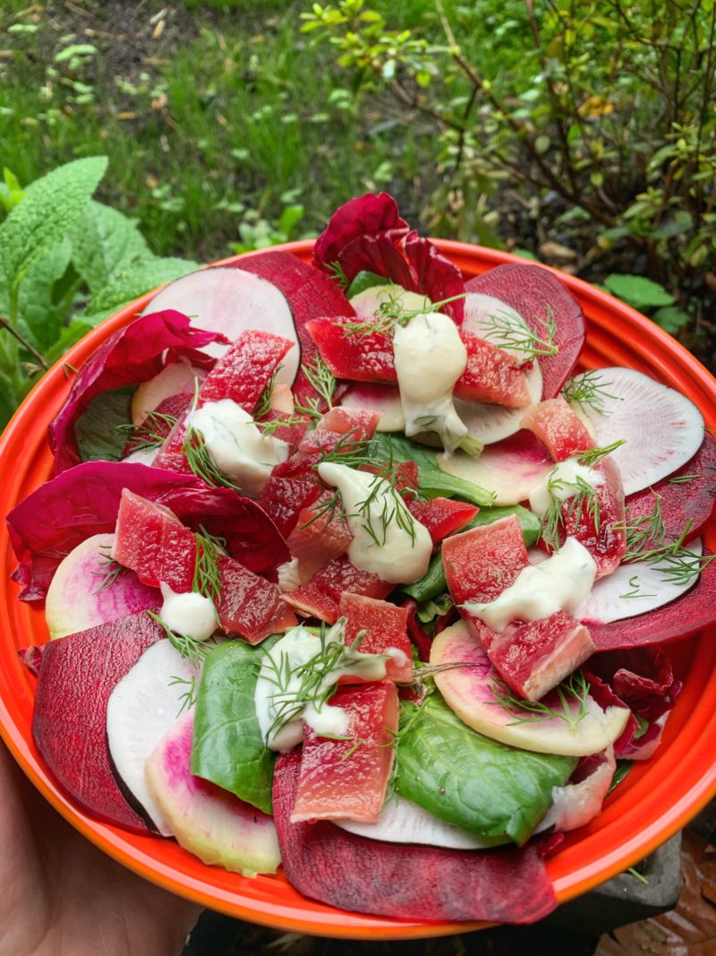 Salade avec des sardines méthode gravad à la betterave