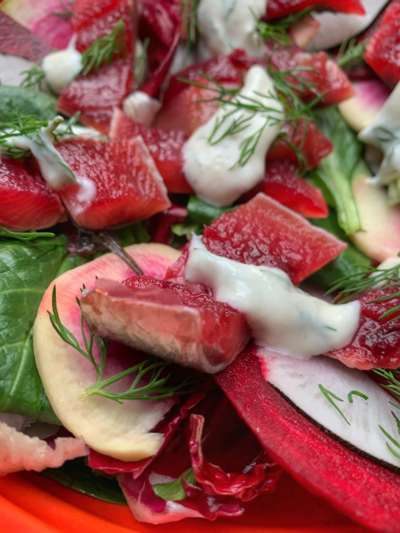 detail de la salade de sardine en gravad