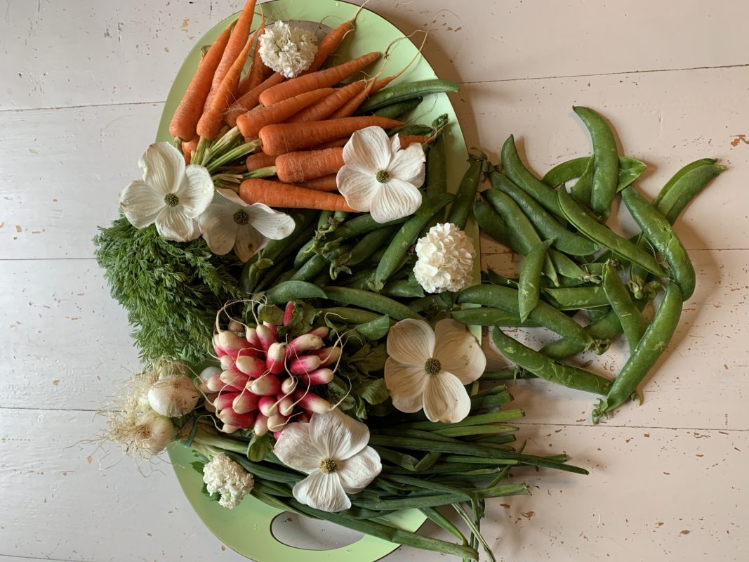 Au printemps on a plus de fanes de légumes que de légumes. Ne les jetez plus !